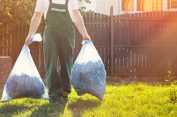 Best Same-Day Junk Removal  in Grove Hill, AL
